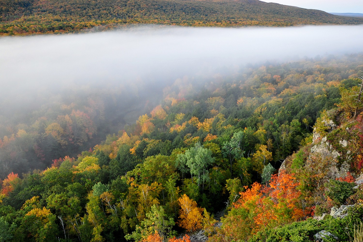 Los mejores lugares para ver el follaje de otoño en el medio oeste 